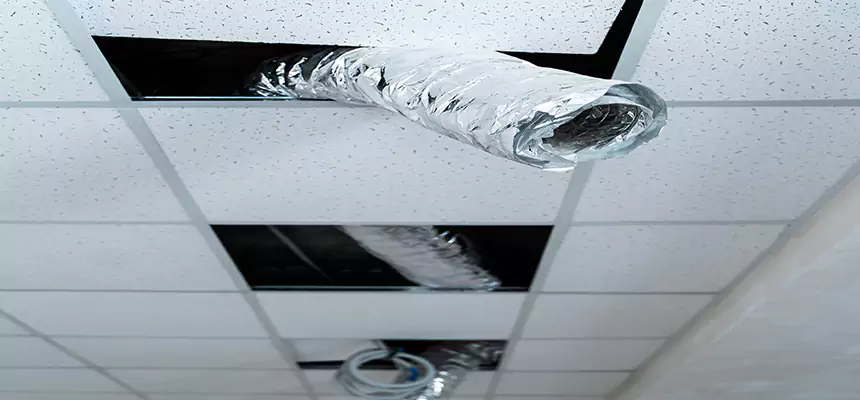 Affordable HVAC Sanitizing After Pest Removal in Danvers