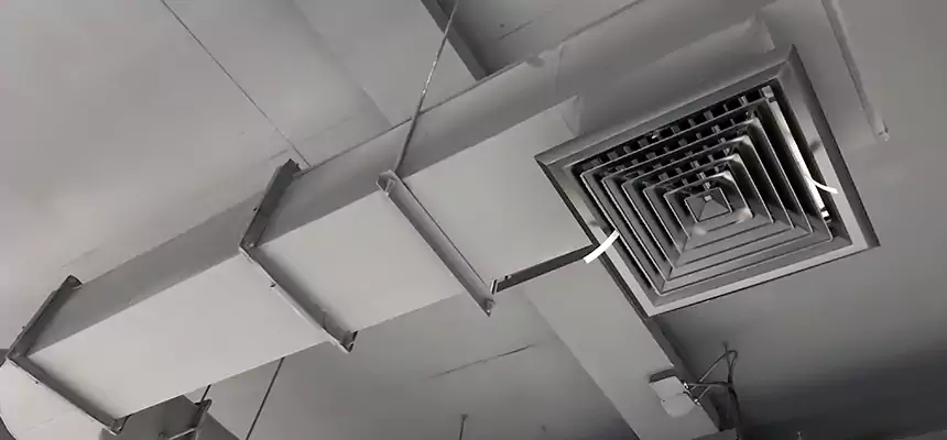 Our Pest Removal From Ducts Services in Danvers, MA