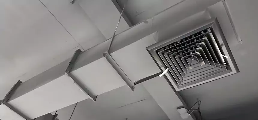 Our Rodent Droppings In Vents Services in Danvers, MA