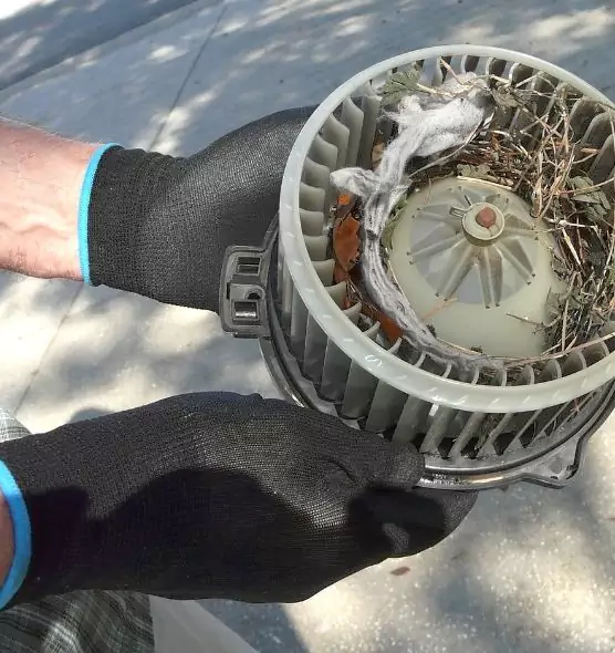 About Air Duct Rat Removal in Danvers, MA