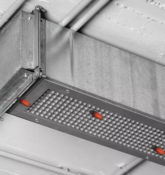 Affordable Insect Removal from Air Ducts in Danvers, MA