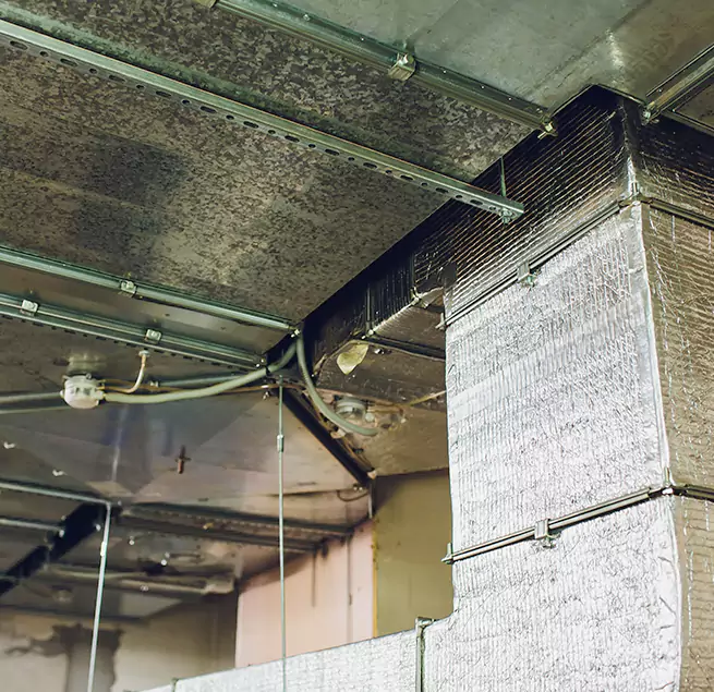 Why Homeowners & Businesses Trust Us in Danvers, MA?